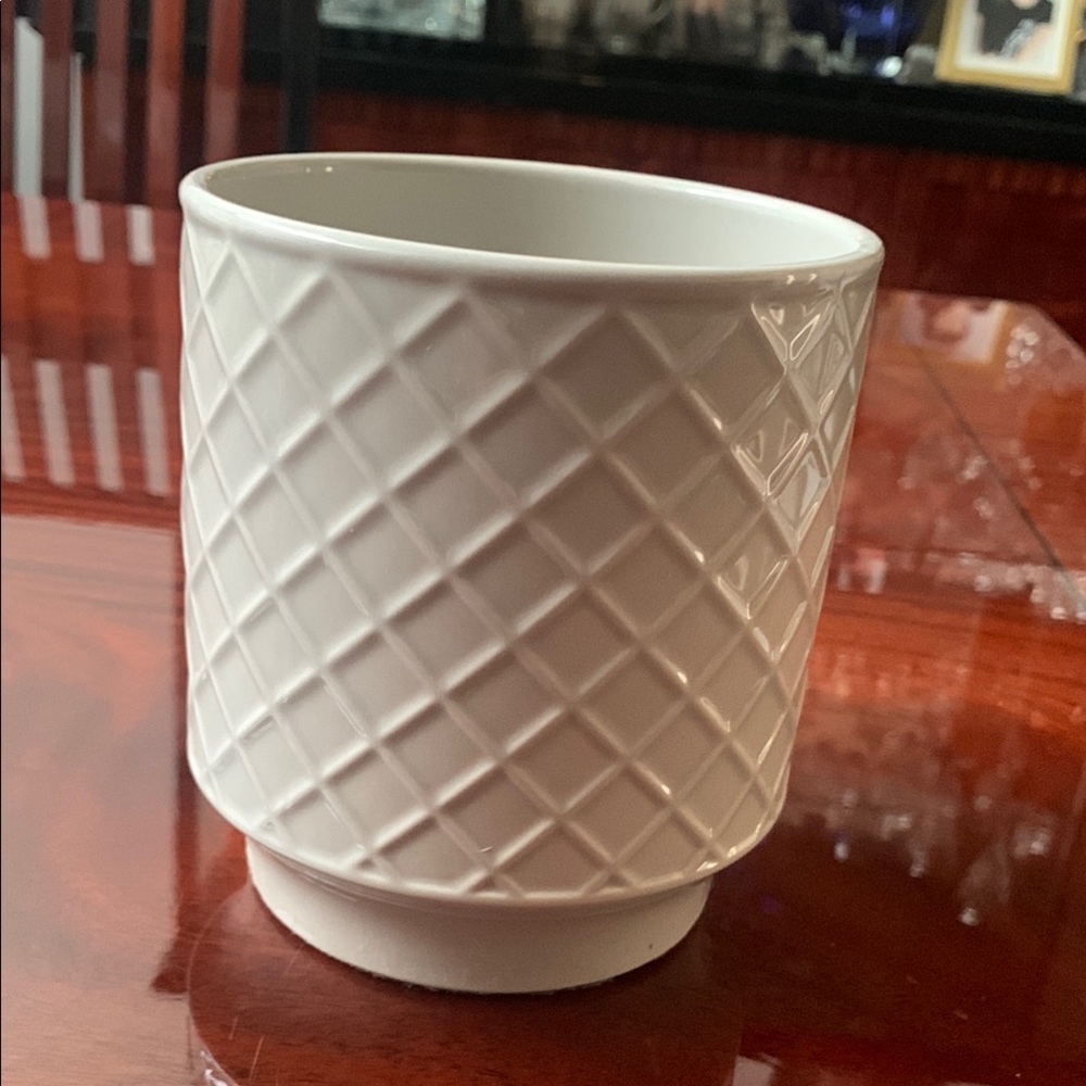 Elegant Gray Ceramic Planter